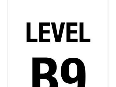 Level Number