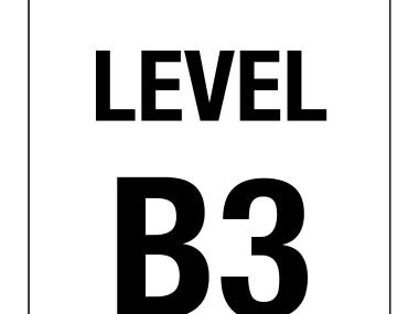 Level Number