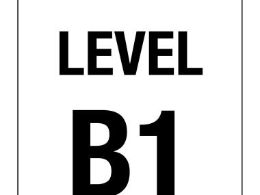 Level Number