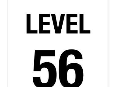 Level Number